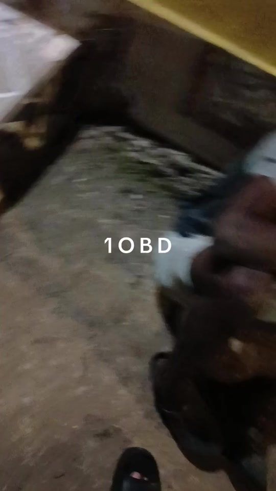 TikTok video thumbnail by jarnelljohnson859