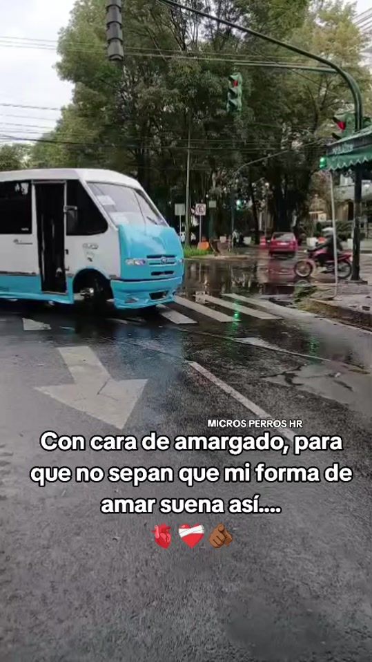 TikTok video thumbnail by micros_perros_sebas