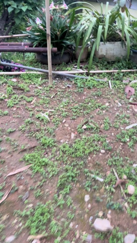 TikTok video thumbnail by pemadendup29