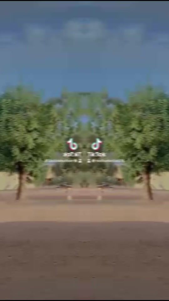 TikTok video thumbnail by sidi.mohamed763