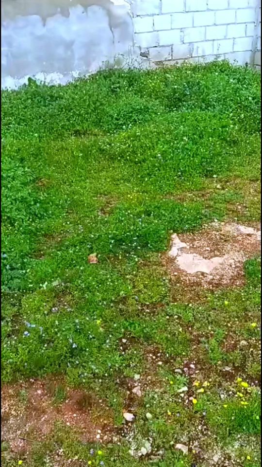 TikTok video thumbnail by user5584339200860