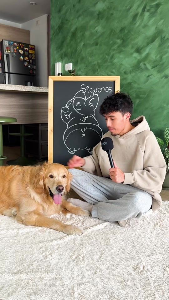 TikTok video thumbnail by davidledgerr