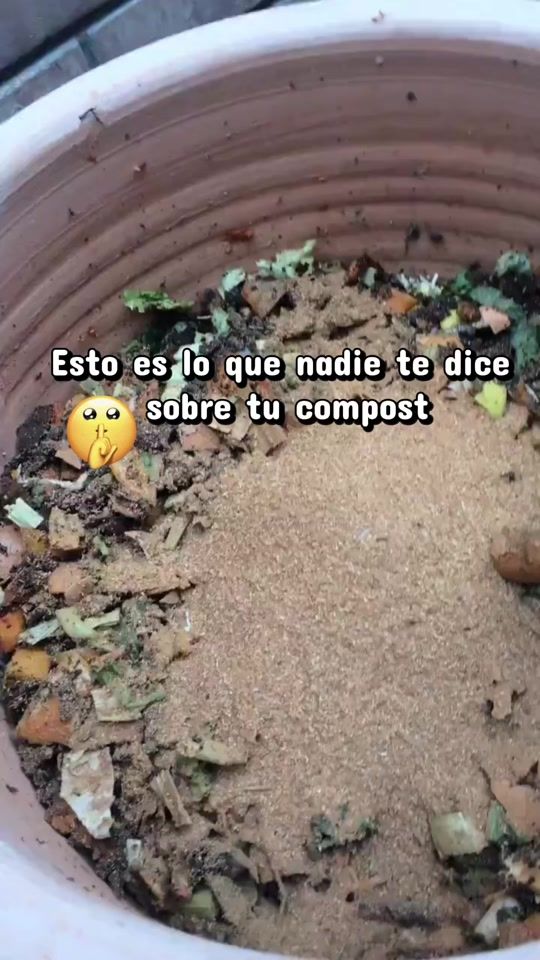 TikTok video thumbnail by tikray.compost