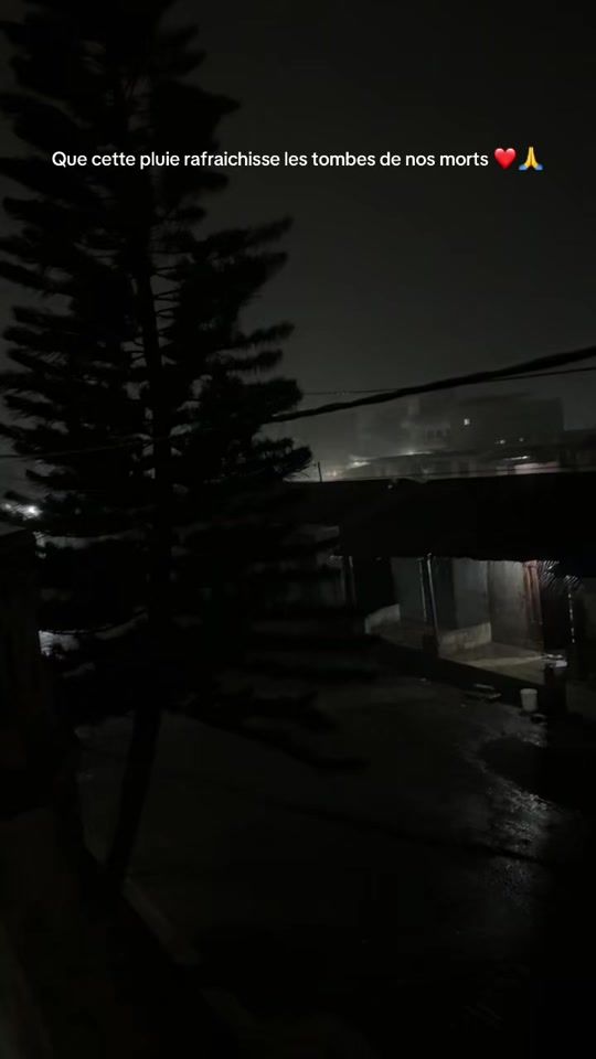 TikTok video thumbnail by dao_dao48
