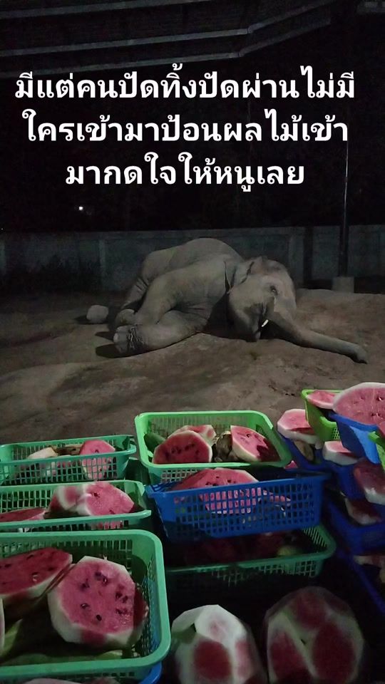 TikTok video thumbnail by nattharida10