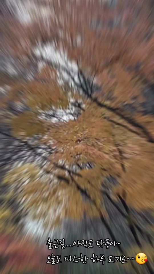 TikTok video thumbnail by smn_604