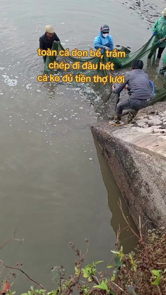 TikTok video thumbnail by thaochoe69