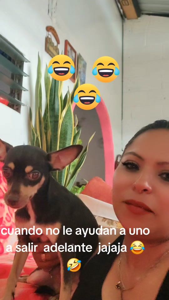 TikTok video thumbnail by elizahernandez787