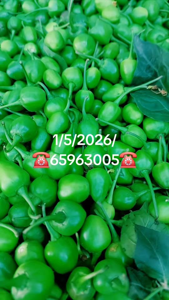 TikTok video thumbnail by bhetghat3
