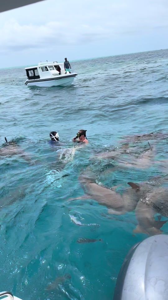 TikTok video thumbnail by smaldives