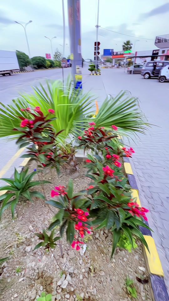 TikTok video thumbnail by haris..gulii