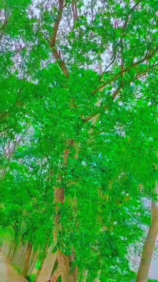 TikTok video thumbnail by ashik_bro79
