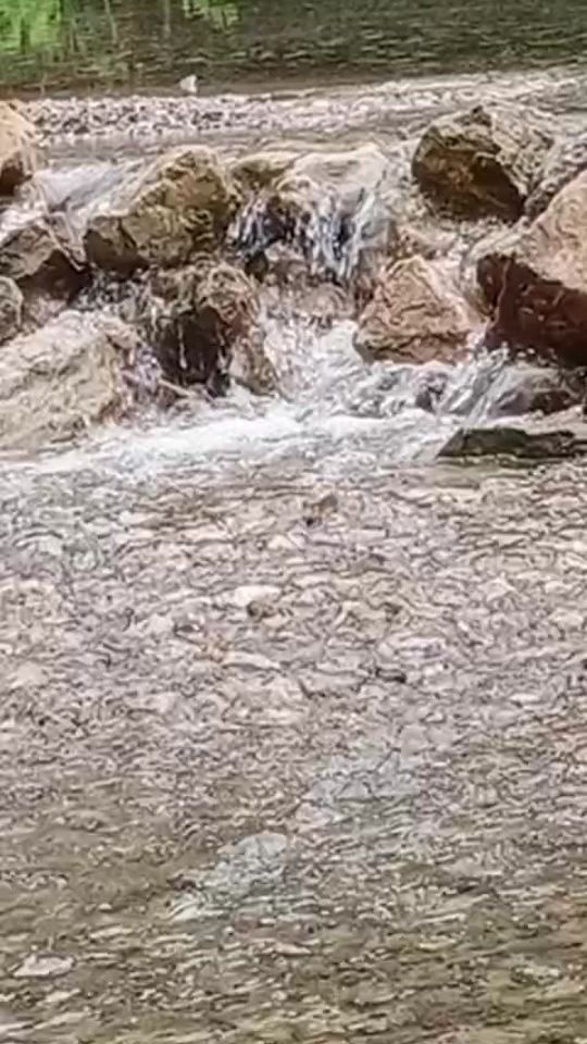 TikTok video thumbnail by phet.tk