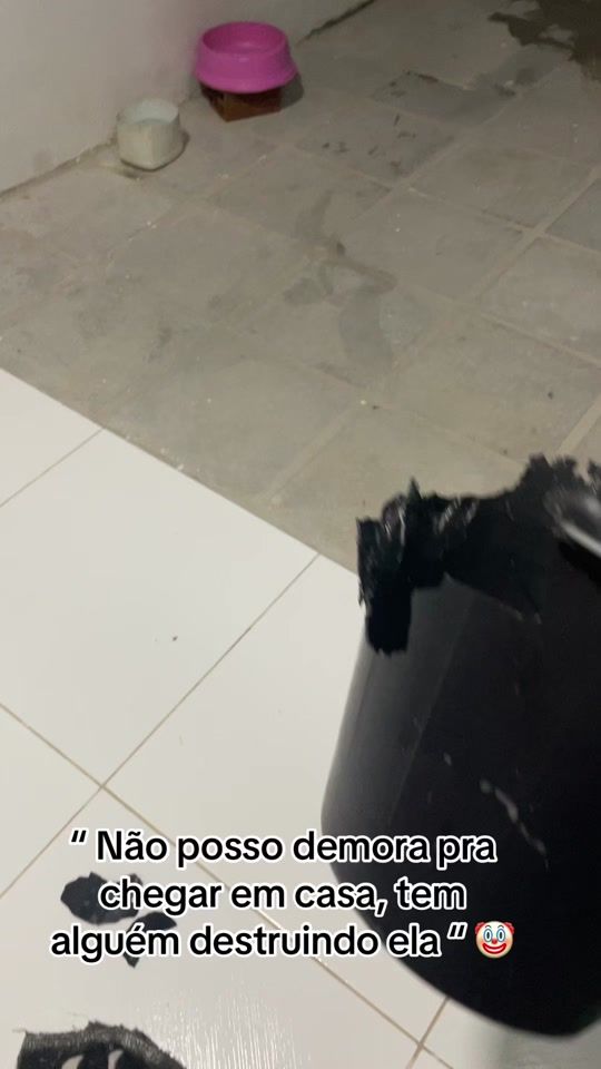 TikTok video thumbnail by joelmacristinah