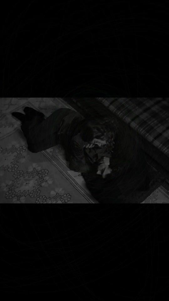 TikTok video thumbnail by l2.1q