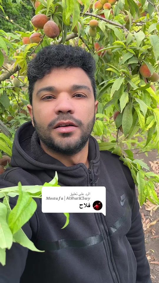 TikTok video thumbnail by el_nashrty