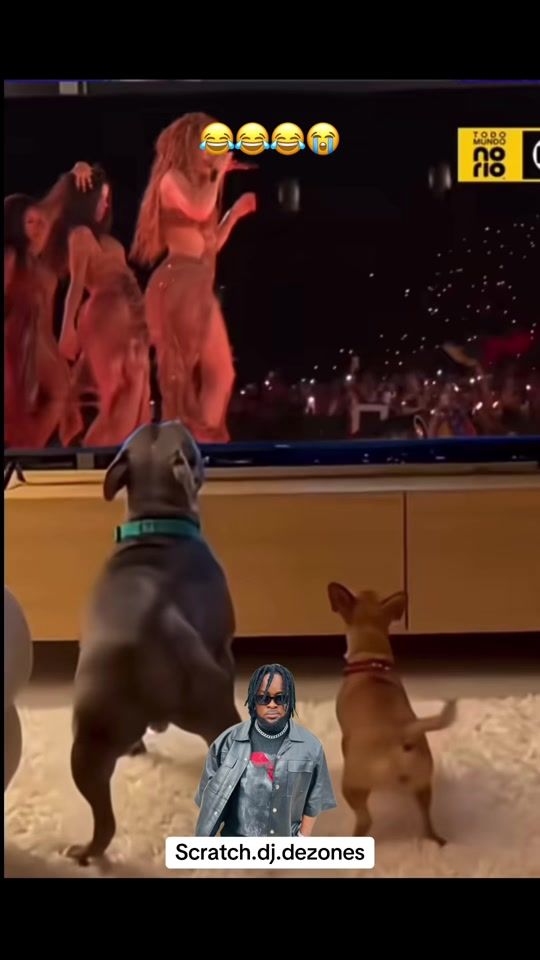 TikTok video thumbnail by scratch.dj.dezones
