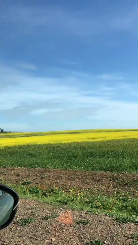 TikTok video thumbnail by nour_sa76