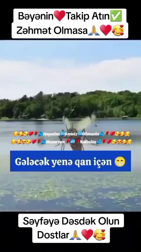 TikTok video thumbnail by allahverdi.._..2000