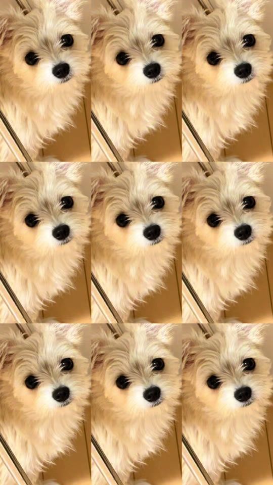 TikTok video thumbnail by hideki_i777