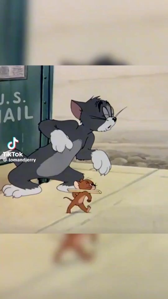 TikTok video thumbnail by alkbaashe3