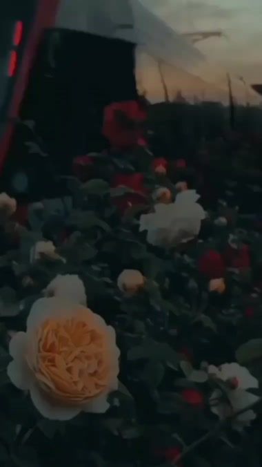 TikTok video thumbnail by abdullah_.asthetic