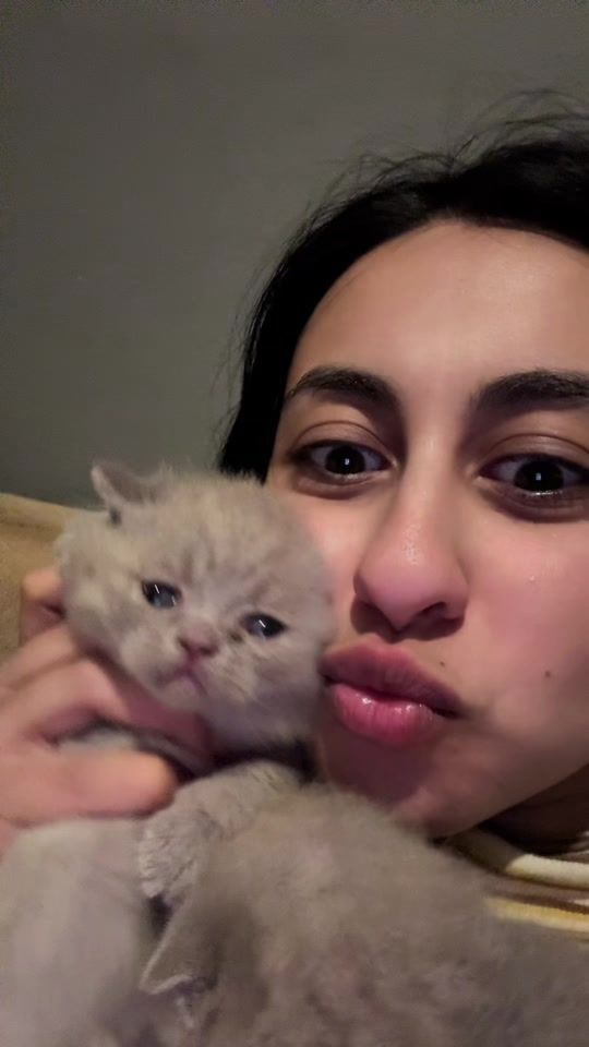 TikTok video thumbnail by gzdekrmn_