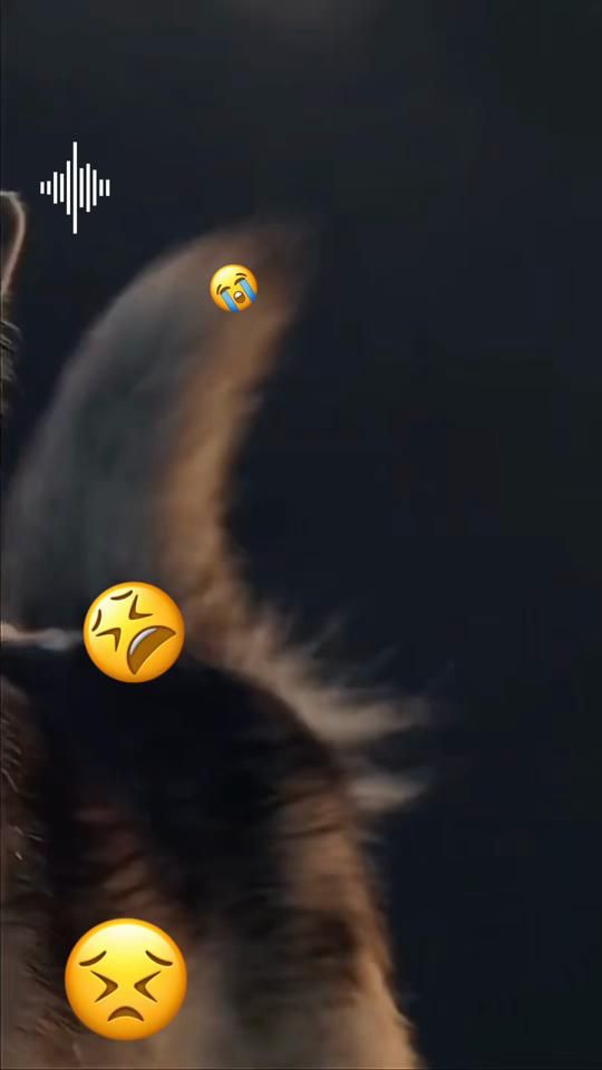 TikTok video thumbnail by matildafelix4