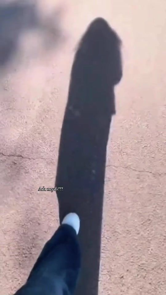 TikTok video thumbnail by djanim_naxcivan