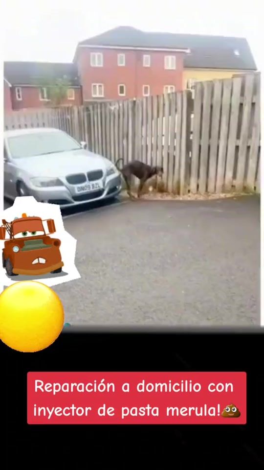 TikTok video thumbnail by cdk7771