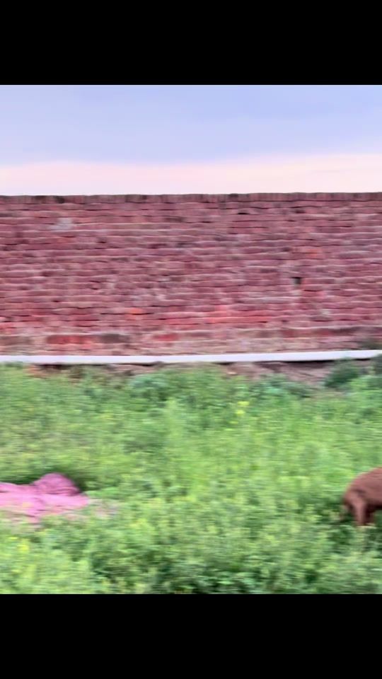 TikTok video thumbnail by sufyan99997