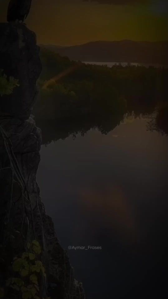 TikTok video thumbnail by aymar_frases