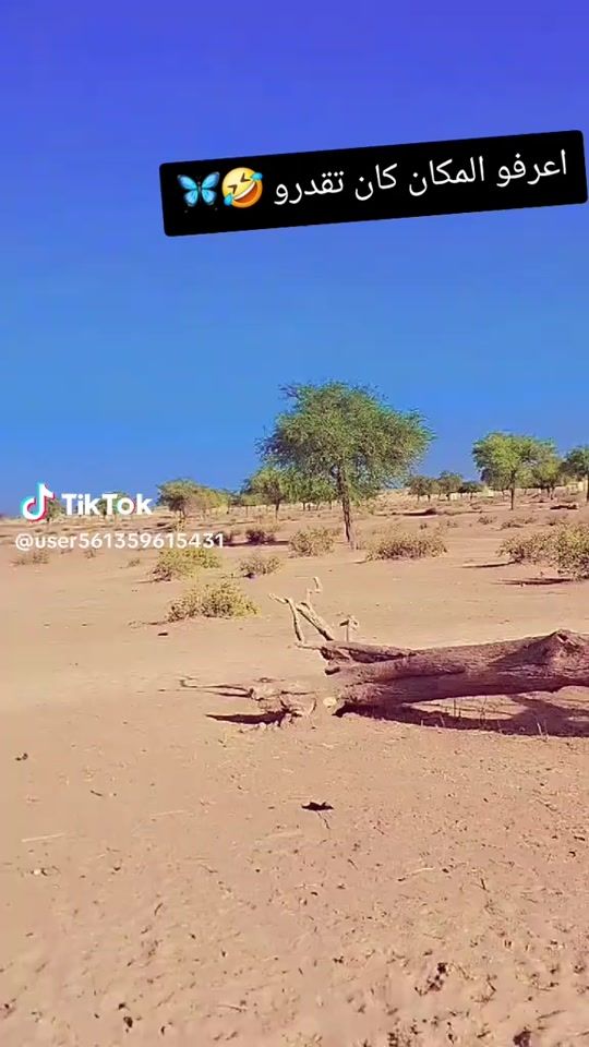 TikTok video thumbnail by .5122196