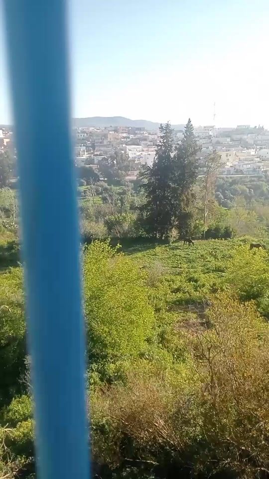 TikTok video thumbnail by amira.samra3