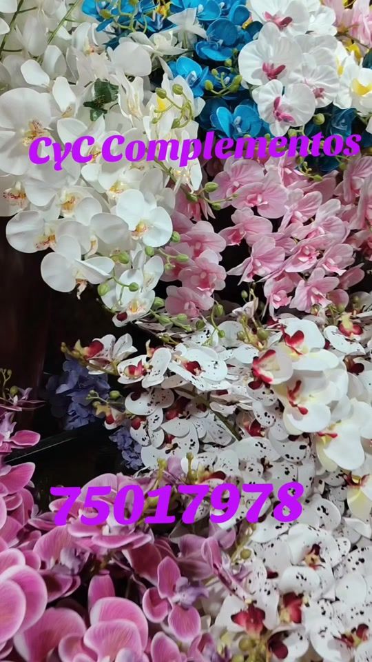 TikTok video thumbnail by cyc_complementos