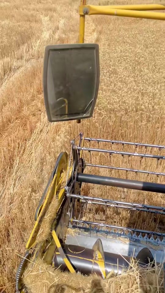 TikTok video thumbnail by _tarrar