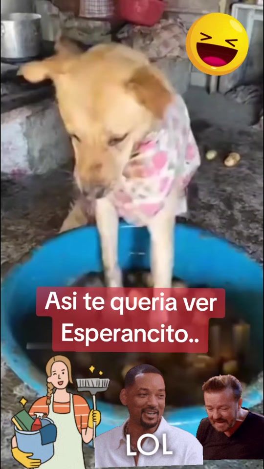 TikTok video thumbnail by mycheliz