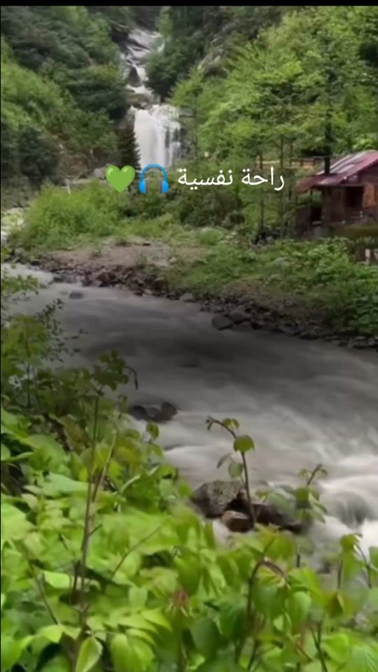 TikTok video thumbnail by hibalin16