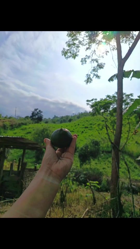TikTok video thumbnail by gemita4734