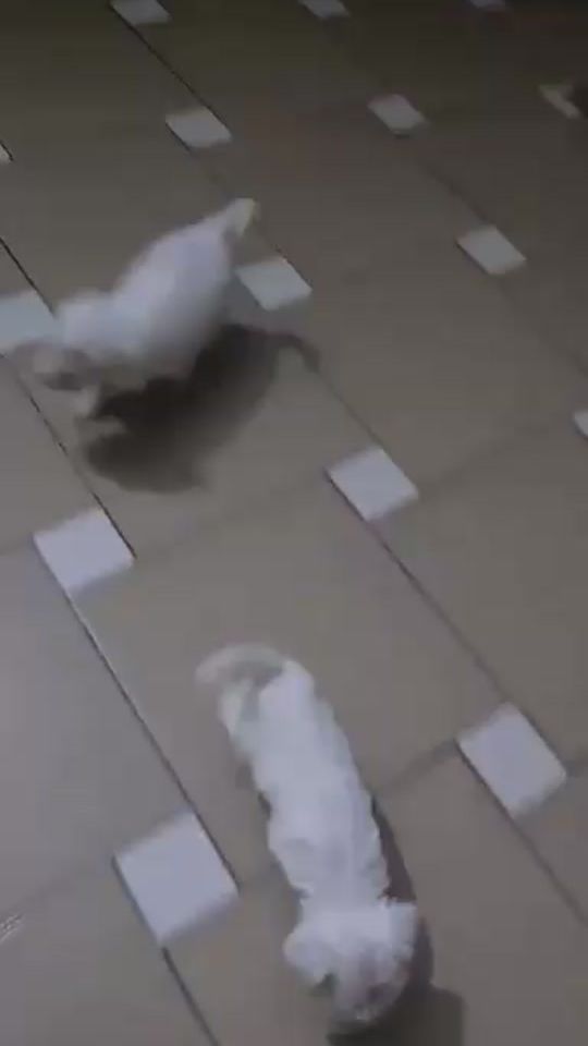 TikTok video thumbnail by baws777