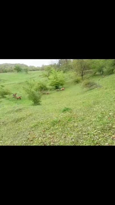 TikTok video thumbnail by hrleza