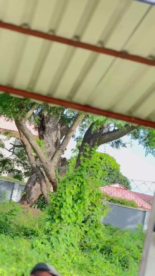 TikTok video thumbnail by official_naso_ig