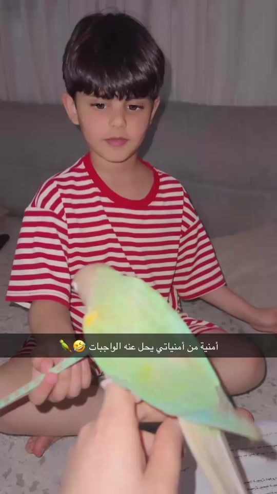 TikTok video thumbnail by imlkk9