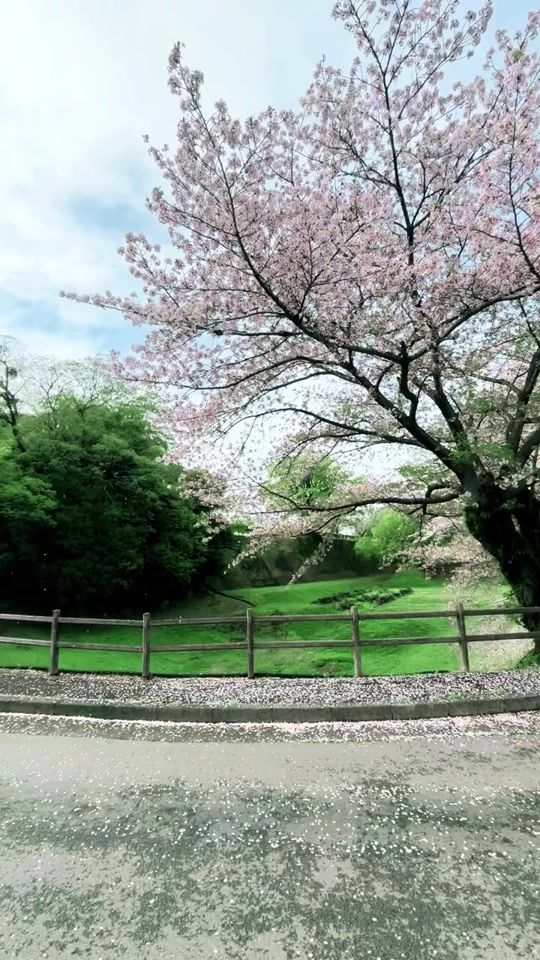 TikTok video thumbnail by apple_suparat