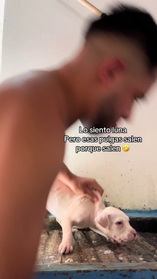 TikTok video thumbnail by deybi_duron03