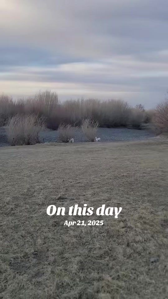 TikTok video thumbnail by soos_mng