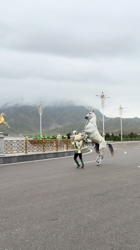 TikTok video thumbnail by galkynysh.horses