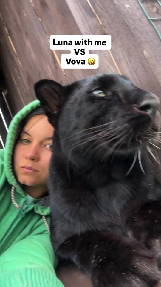 TikTok video thumbnail by luna_the_pantera