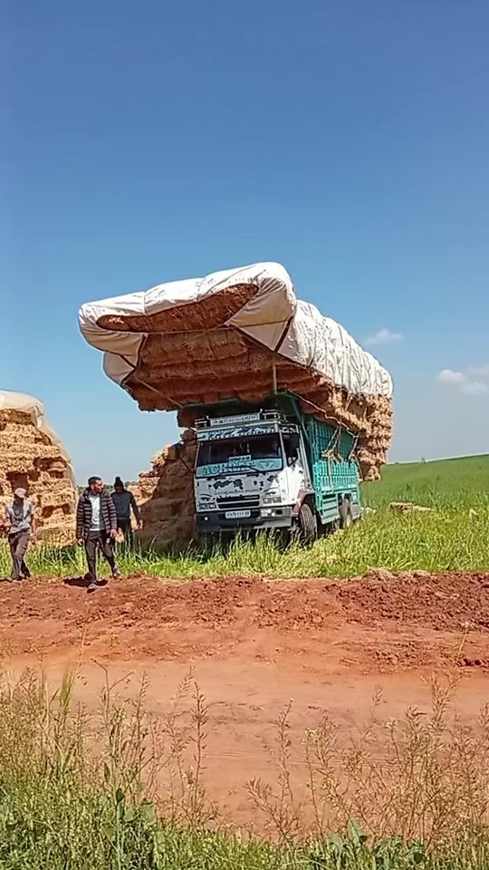TikTok video thumbnail by merwan6195