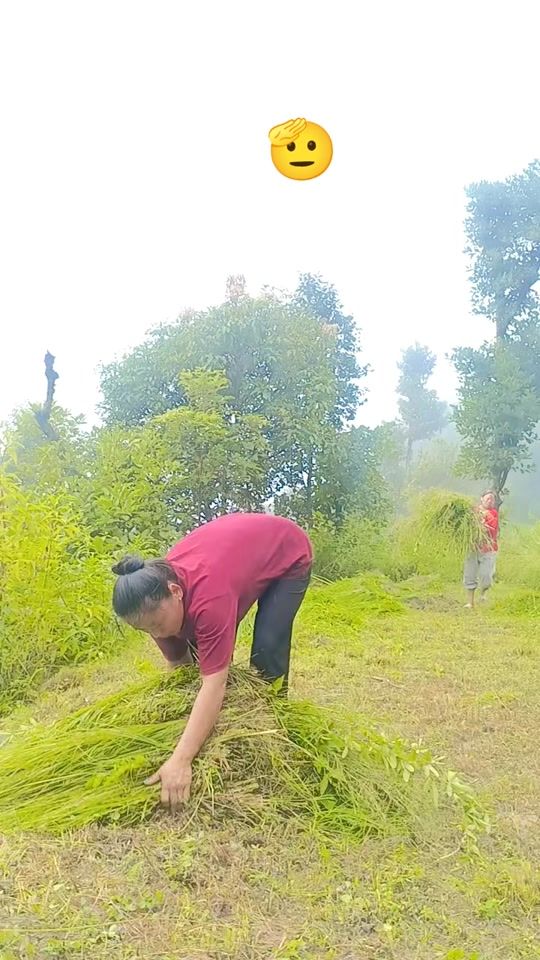 TikTok video thumbnail by radunima___07